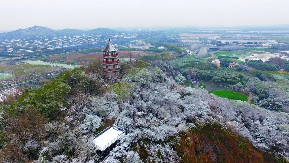 松江八大景点纪念卡免费拿!元旦登高报名开始啦