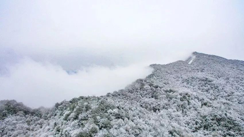 九皇山下雪了,快来围观…_雪景