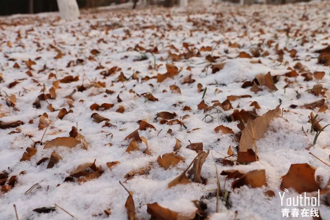 12.11,淄博初雪