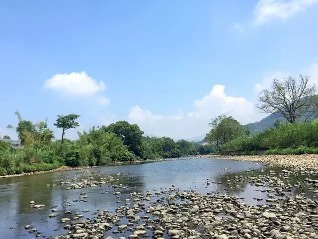 【魅力漳平】茶乡里的国家湿地公园_南洋