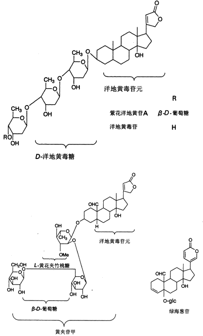 中药化学丨强心苷