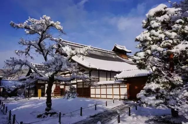 冬季来日本看雪——十大绝密雪景,一个都不能少!