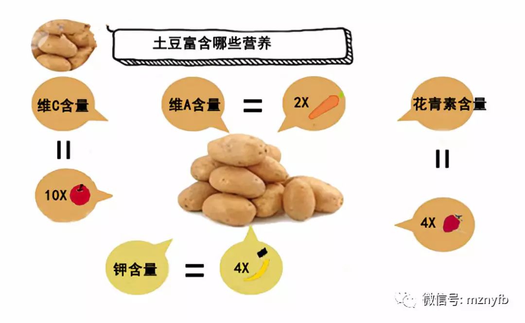 马铃薯主粮化【话您知2】 土豆怎样"熬"成"粮"的?