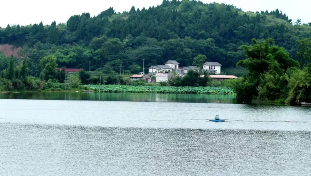 跟着微信逛简阳平武镇描绘一幅田野山水画