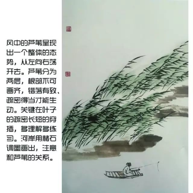 国画入门教程 | 芦苇的画法