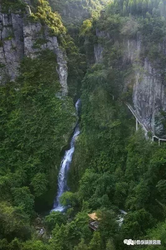 一马推介:广西德保矮马小镇