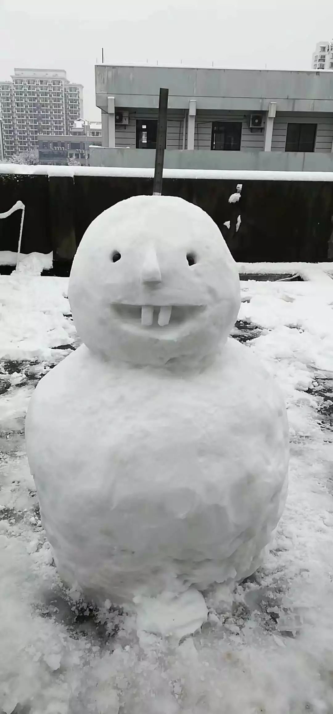 2018年度堆雪人大赛开始投票啦!你觉得哪个雪人最可爱