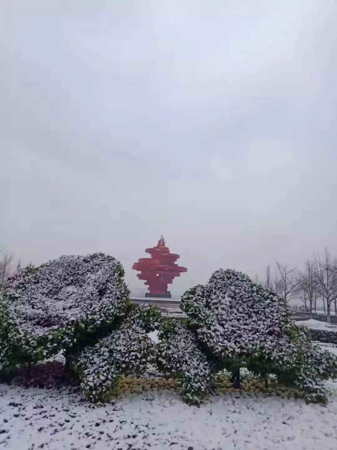 最新:青岛这个区雪最大!一大波雪景美图来了…丨12.11新闻早餐