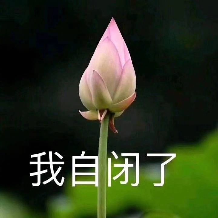 陆涛:我自闭了