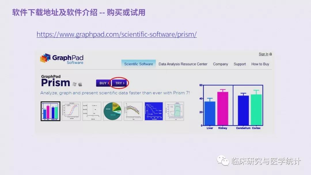 pad人口_pad手机壁纸