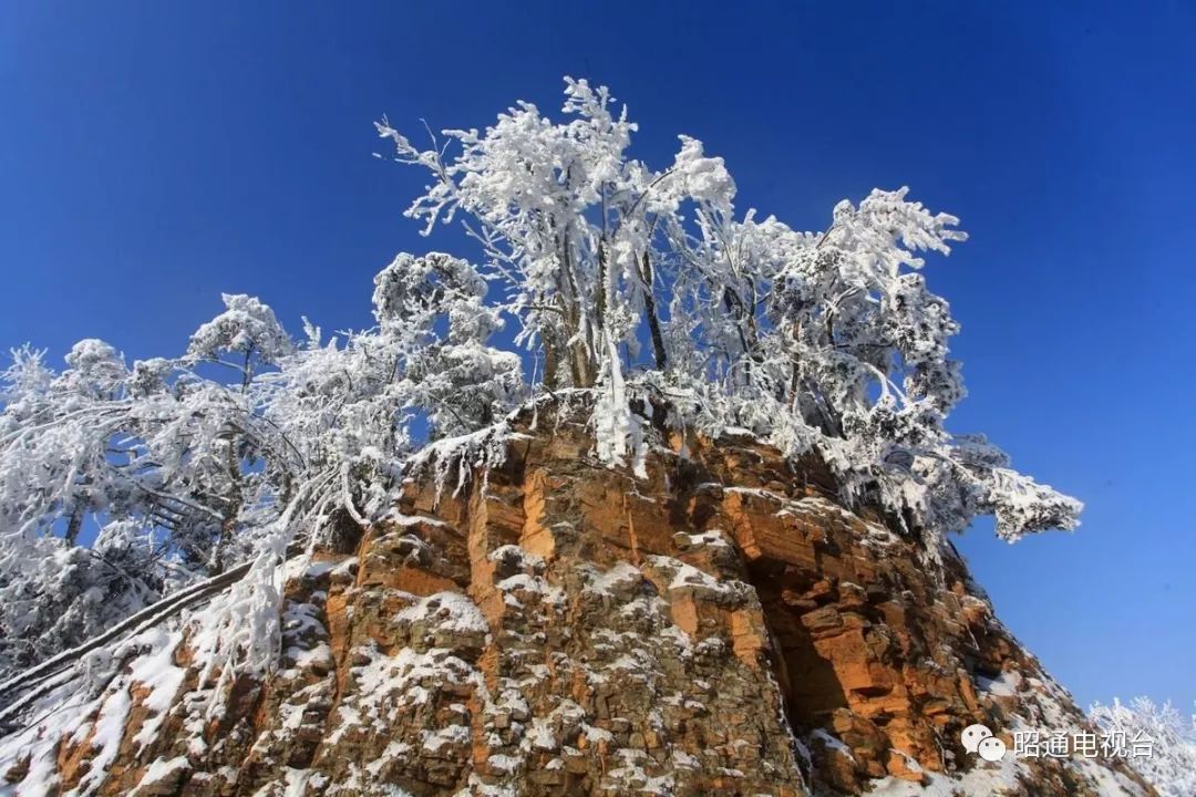 约不约昭通这里简直就像是冰雪童话世界晶莹剔透美轮美奂