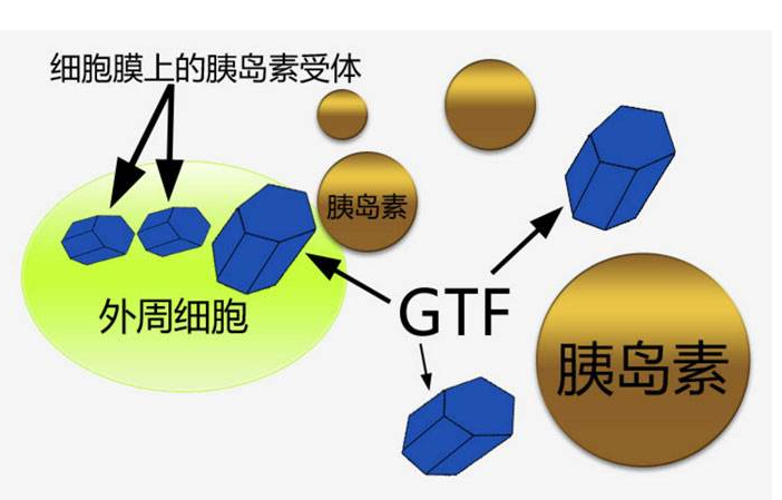 打胰岛素前,做好这几件事,降糖效果事半功倍_血糖