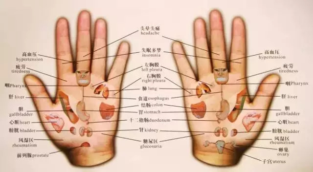 手诊图解高清