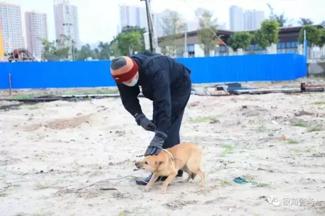 北海银海分局进村抓狗了!