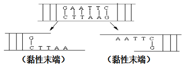 ߿2019߿ָϰ޶̲֪ʶ