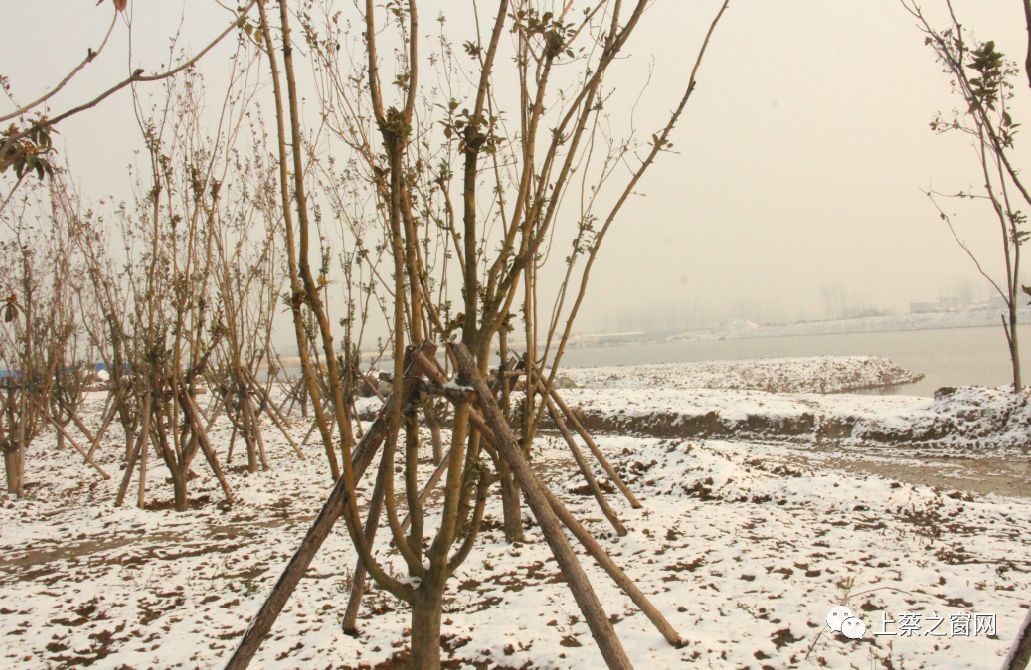 雪后,上蔡人工湖变成了这样…更让人崩溃的是