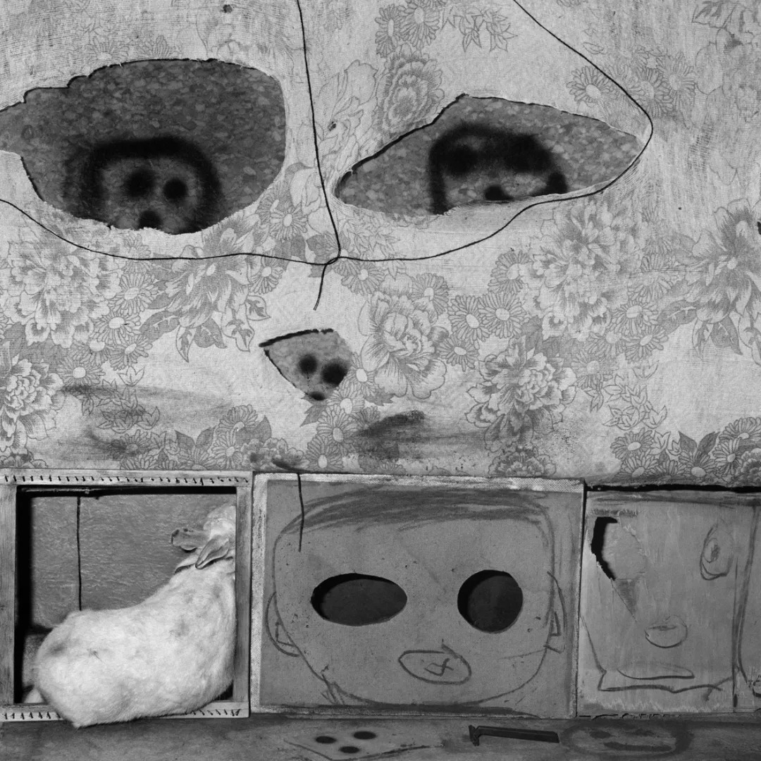 roger ballen | "荒诞并非照片本身,而是这个世界"