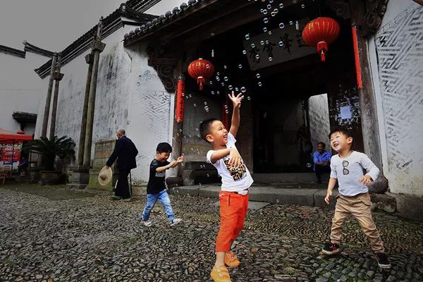 硔晨韵-陈彦南湖之晨-高耀显鸟瞰屯溪-陈之页枇杷大丰收-许家栋千岛湖