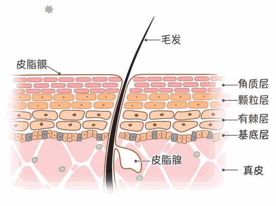 冬天怎麼「要臉」？ 健康 第7張