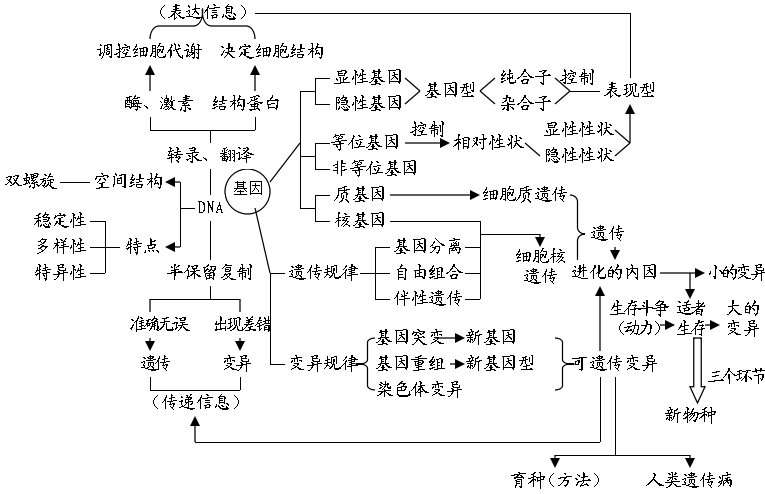 高中生物知识结构图全汇总!一目了然,简直太棒了!收藏!