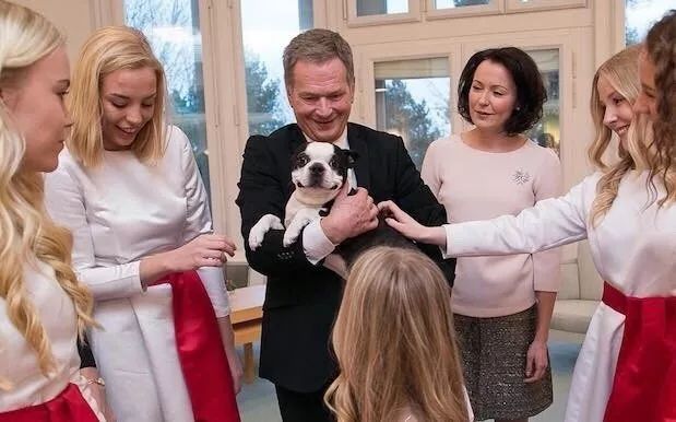 芬兰总统养了一只黏人的狗狗Lennu，还经常带着它去上班