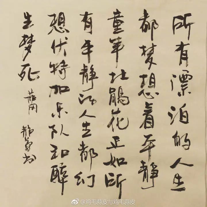 徐静蕾出新字体了,简直美上天!