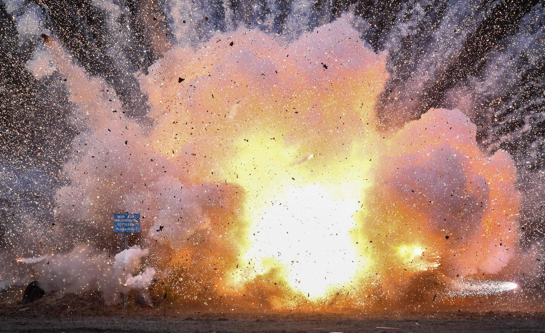 德国海关用猪蹄展示非法烟花爆炸危害