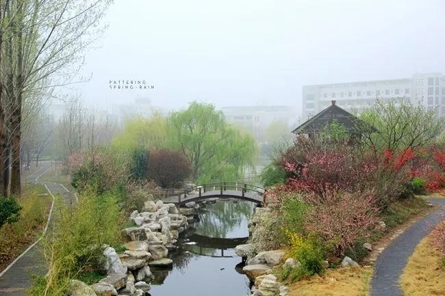 招贤榜┇山东艺术学院