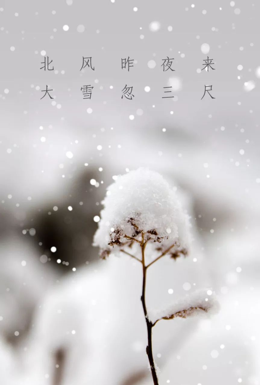 李白的雪有多大?大如手,大如席