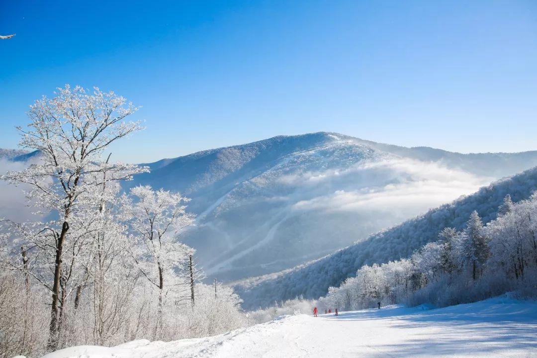 滑雪胜地,粉雪邀您—吉林市雾凇冰雪节即将启幕_雪场