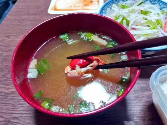 日本网友在家里养了一只宠物河蟹，半年后亲手将其做成味增汤