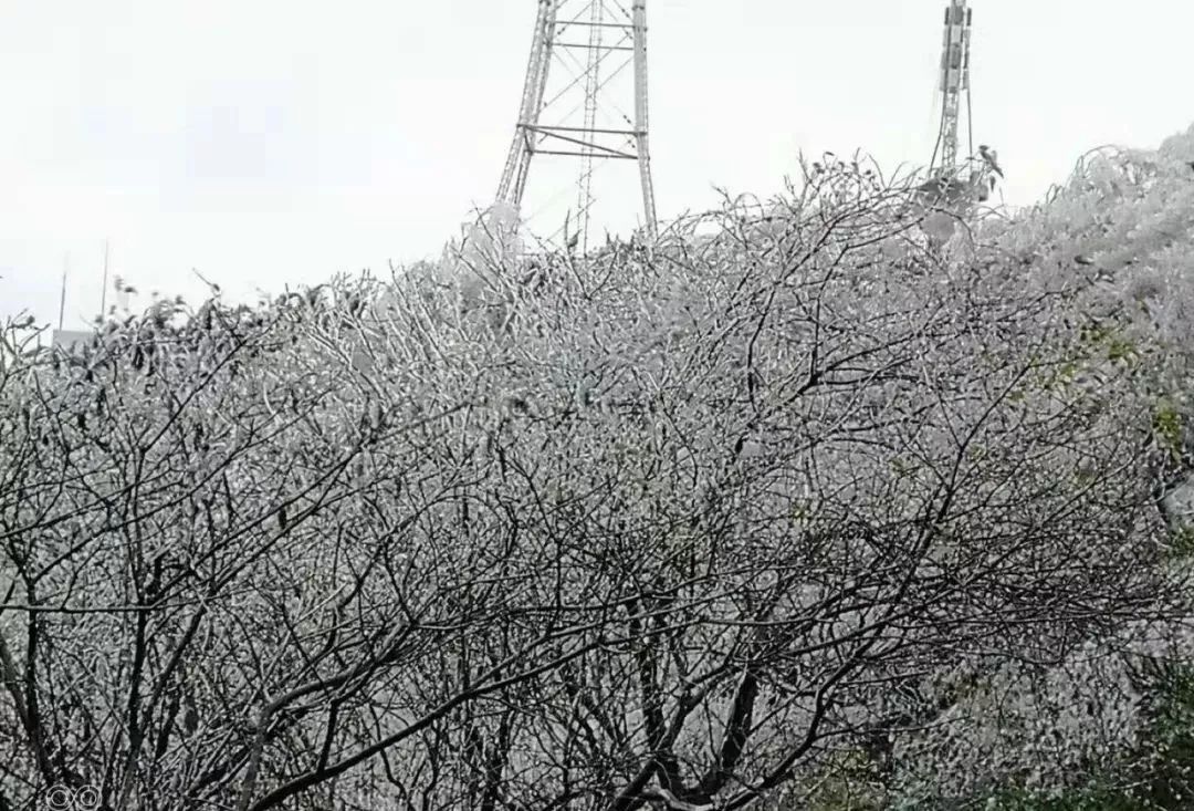 桂林尧山冰雪天气,形成了绝美画面!