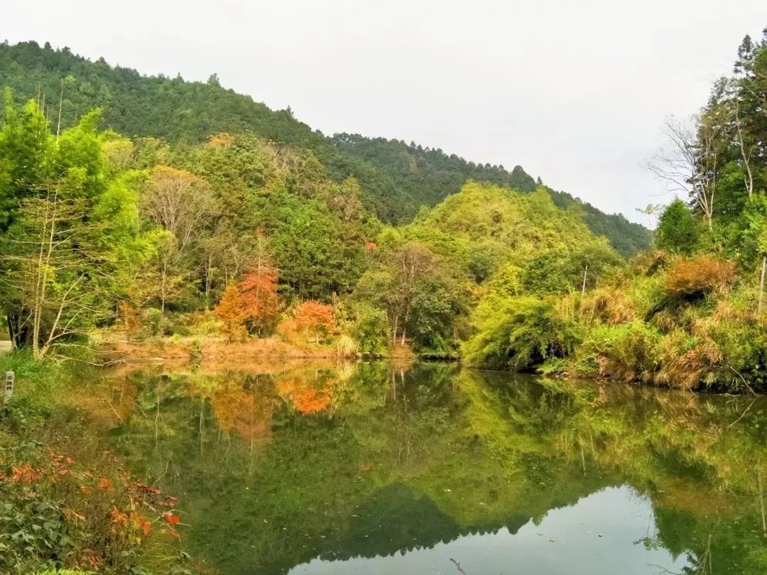 韶关这个地方堪称粤北小九寨,坐拥山光水景,美到炸裂!