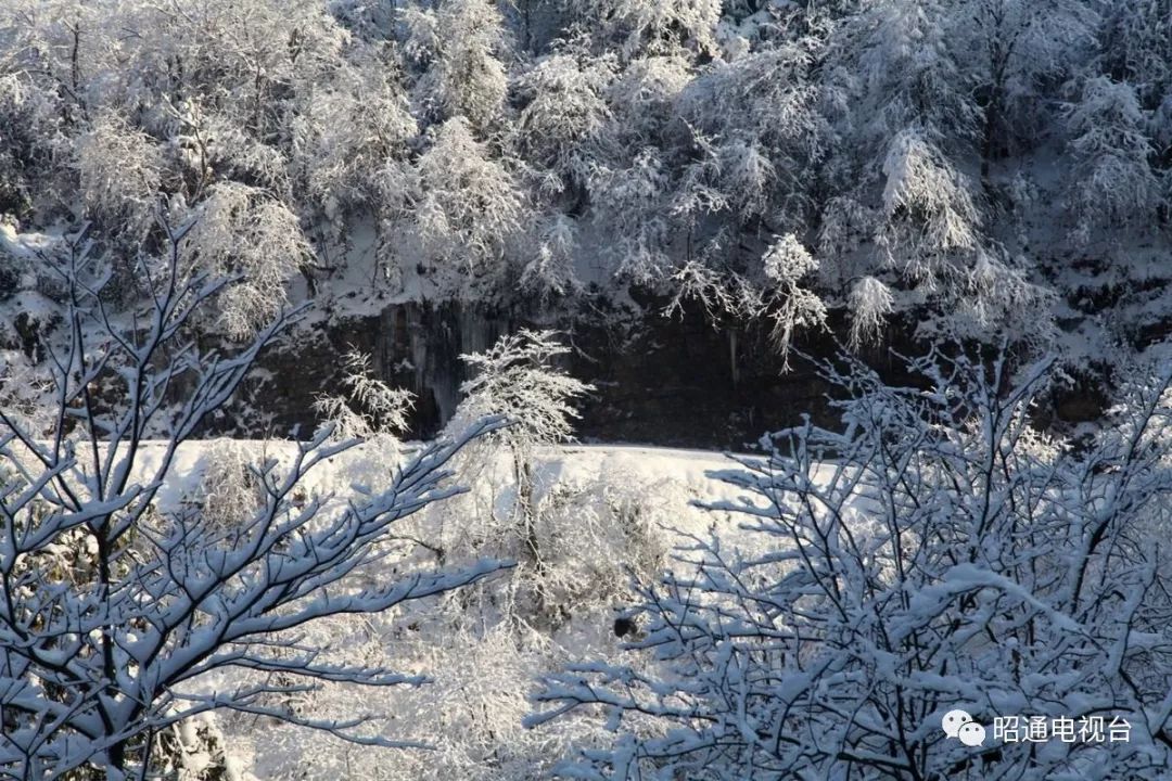 约不约昭通这里简直就像是冰雪童话世界晶莹剔透美轮美奂