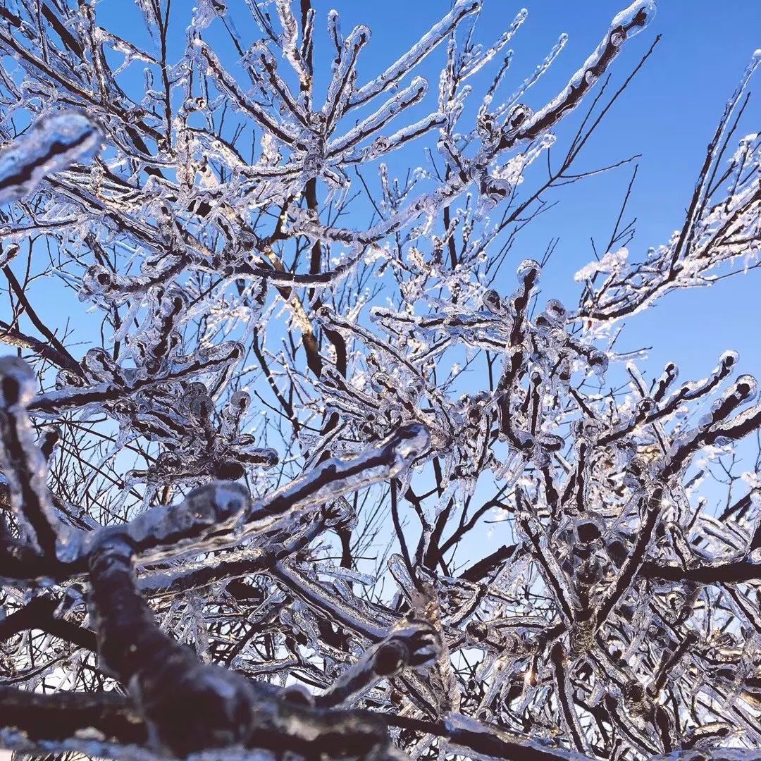 赣州为什么还不下雪!_气温