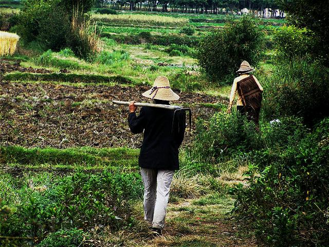 农民挖得一件宝物，专家20块买走，日本亲王求购 中国：这是国宝