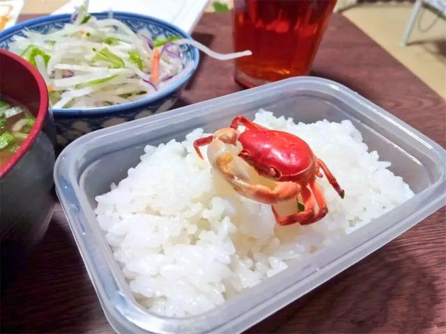 日本网友在家里养了一只宠物河蟹，半年后亲手将其做成味增汤