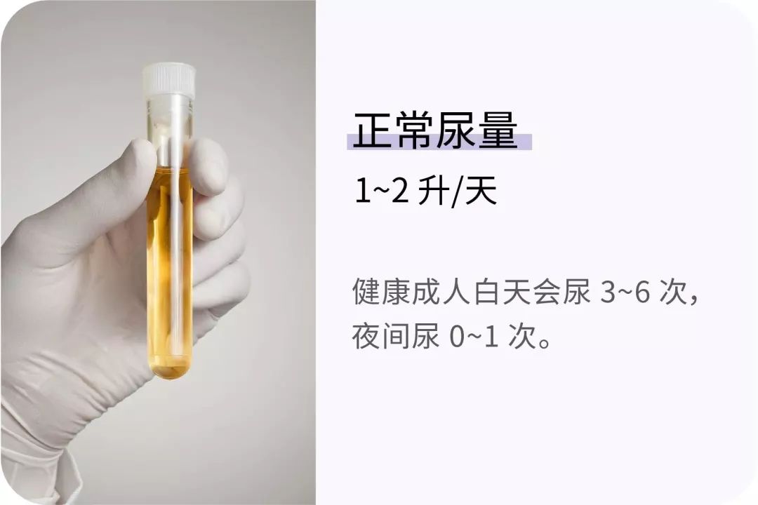 健康 | 胖不胖不能只看體重！這些真相你必須知道 健康 第9張