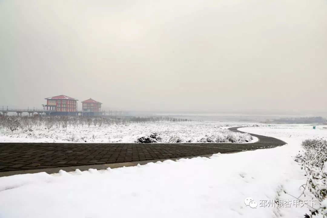 今日关注好嗨哦雪后的邳州竟变成了这样