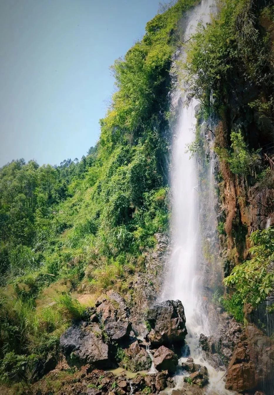 大云雾山旅游区内森林密布,山花烂漫,山间四时鸟语花香,景致极佳.