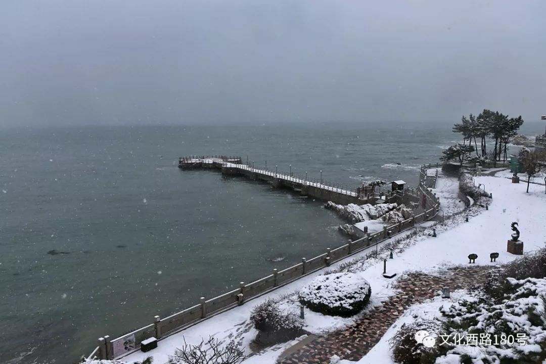 大雪中的環海路與雪後的海邊 汽車 第26張