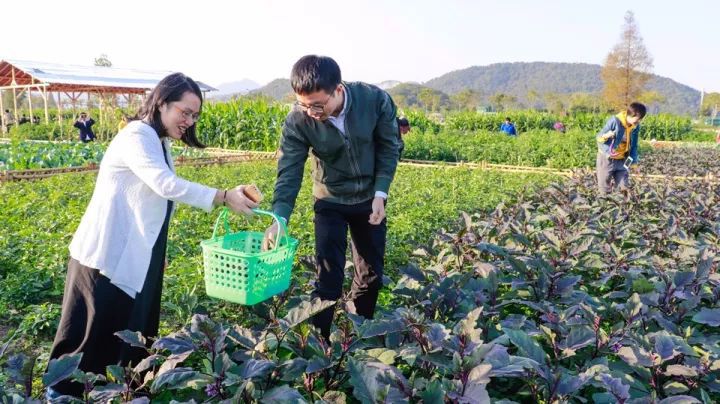 蓝城·双浦原乡:宋卫平的农业标杆项目,一期3600余亩的现代农业园率先