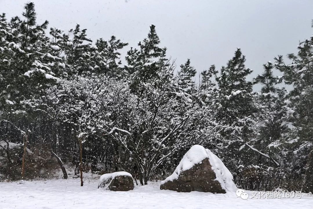 大雪中的環海路與雪後的海邊 汽車 第7張