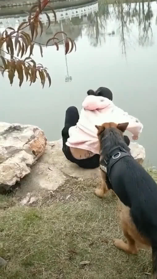 老婆蹲在河邊洗東西，狗叼著她的衣服往後拽，網友：狗在保護人 職場 第4張