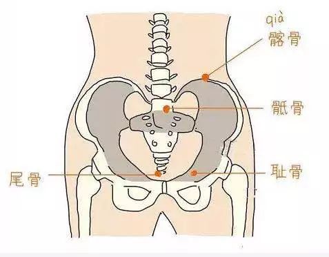 女人花产后盆底康复和骨盆修复傻傻分不清楚还不赶紧进来看一看上