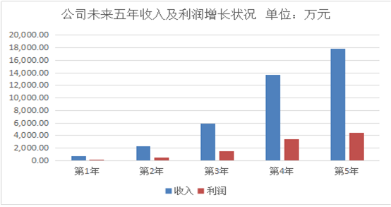 态体系平台商业计划书参考模板九游会老哥交流区网络泛娱乐生