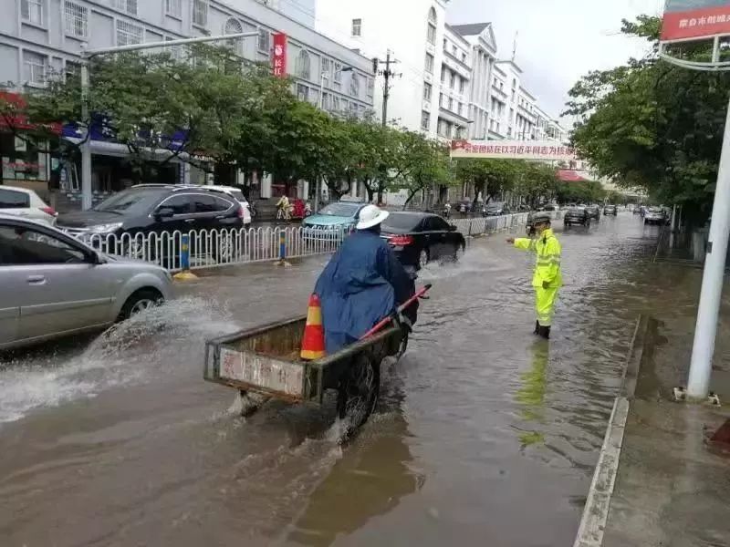 蒙自市城区常住人口_蒙自市图片(2)