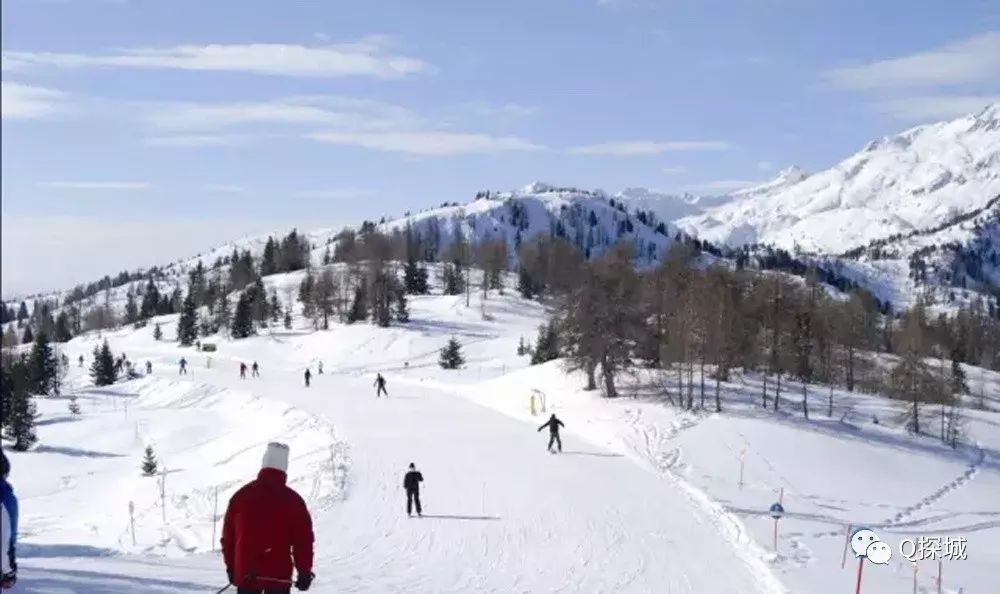 重庆这些地方下雪啦!主城周边十大耍雪地 马上就想去