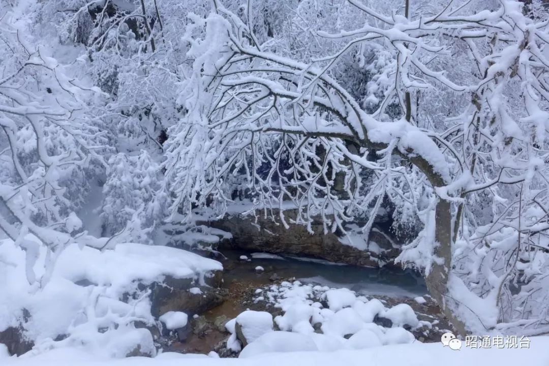 昭通小草坝雪景美艳四方