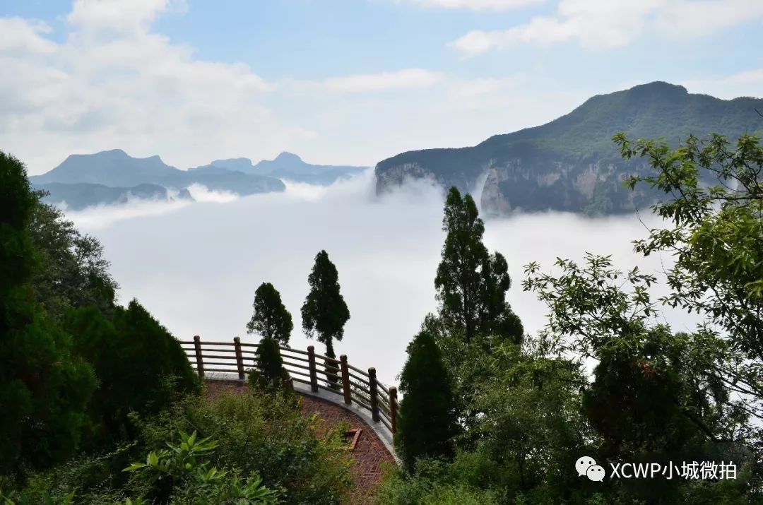 陵川简历震撼全国